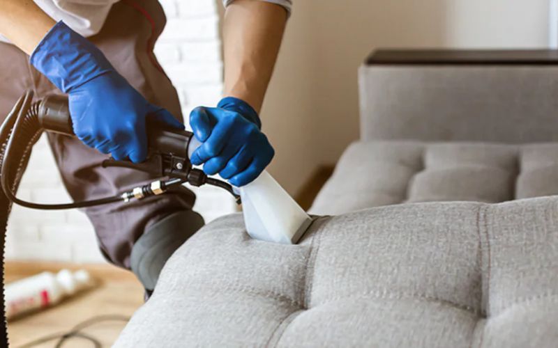 Upholstery Cleaning